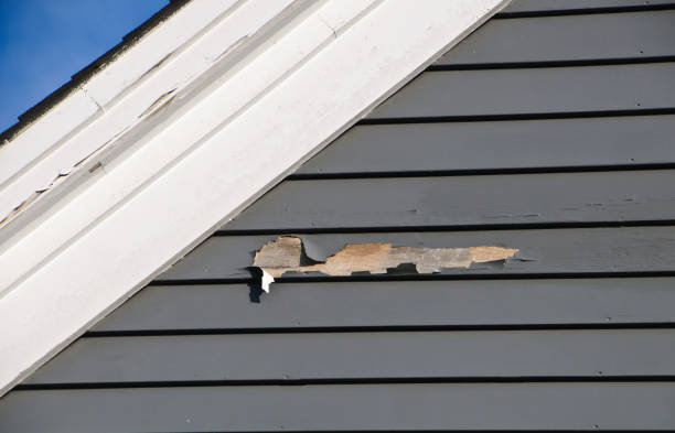 How To Choose The Right Materials for Your Siding Installation in 'Big Lake, MN